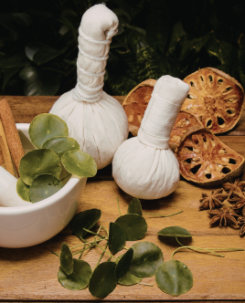 untitled design 2026 02 16t143754.490